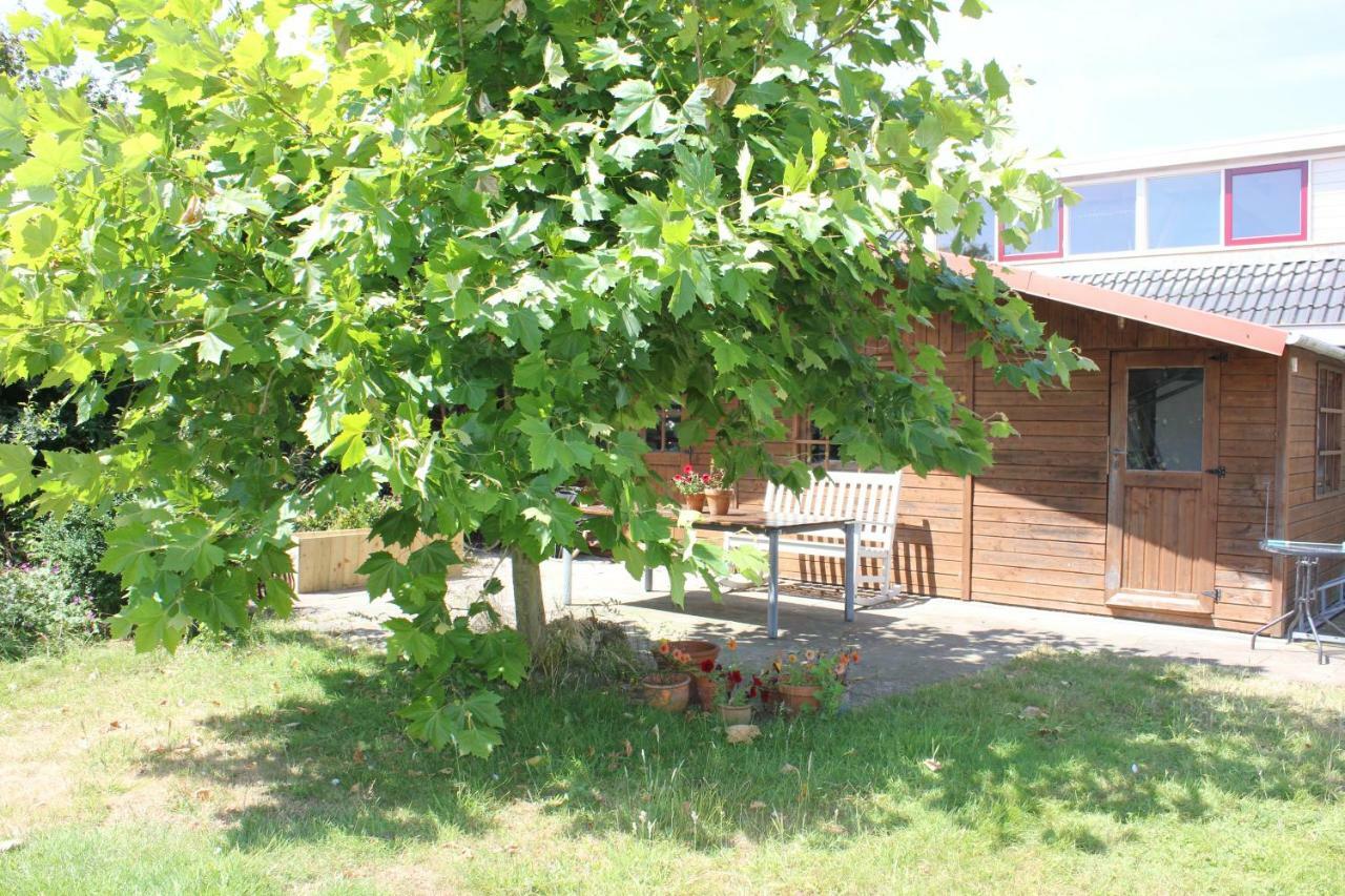 Bed and Breakfast Bluesheep-Texel De Koog  Zewnętrze zdjęcie